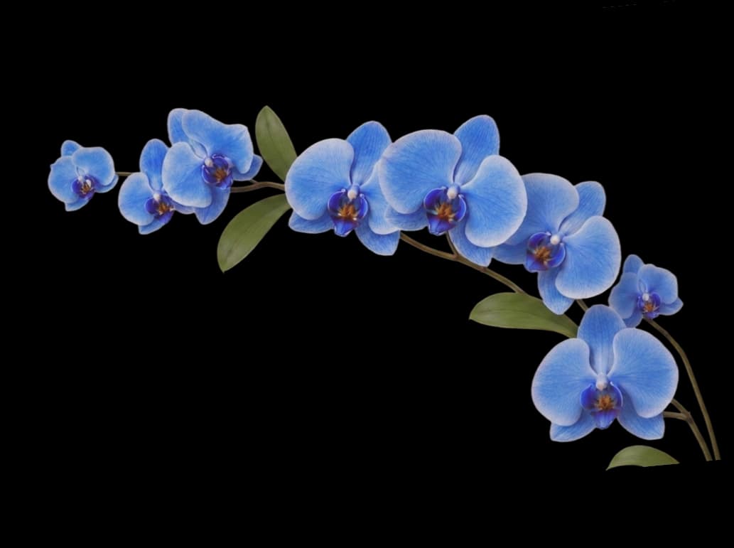 blue flower